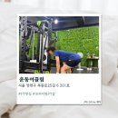 이끌림 | [양천구] 신정동PT샵 운동이끌림 후기
