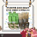 라온약품 이미지