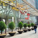 메리츠타워주변 | 강남역한의원 다이어트한약으로 생리통까지