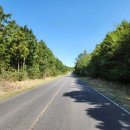 상진농장2 이미지