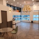 도그마루 노원점 이미지