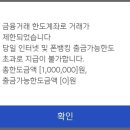 주식 계좌에 씨드머니 100만원 입금했더니 한도 초과했다고 1원도 입금 못한다... 이미지