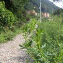 옥천민박 이미지