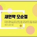 모세사