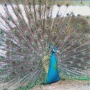 윤호축산 이미지