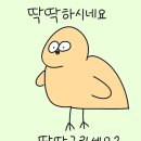 더어 이미지