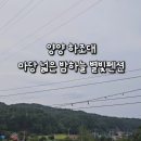 양양하조대마당넓은밤하늘별빛펜션 이미지