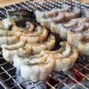 폭풍장어 이미지