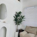 리포레풀램핑 이미지