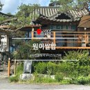 사동로 | 이천 맛집 | 이천쌀밥 원이쌀밥 SK하이닉스 근처 한정식 아쉬웠던 후기