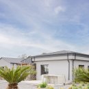 달리야드 이미지