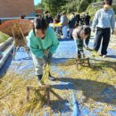 화당리 경로당 이미지