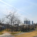 트렌디배올 | [일산카페] 서울근교 드라이브 트렌디한 배 과수원카페 “옐로우 마운틴” 내돈내먹 후기