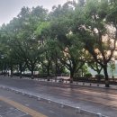 다온여행사 이미지