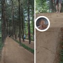 한천중학교 앞 이미지