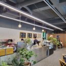 영동군 관광안내소 이미지