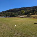 골든베이 | 골든베이cc / 잔디상태 솔직후기