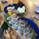 다해야 | 부평역 술집 숙성회 전문점 다해야 생새우 후기