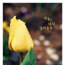 엄지공주 - 대덕구 동춘당로114번길 9 | 엄지공주
