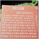 [남원]국보와 보물이 가장 많은 최고의 길지, 지리산 실상사 극락전 이미지