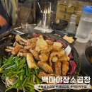 고풍로 | 일산 곱창 맛집 웨이팅 보람있었던 야장 감성 '백마야장소곱창' 내돈내산 후기