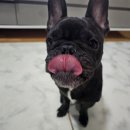 찹찹테이블 이미지