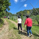 동건농장 이미지