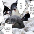 일건농장 이미지