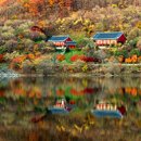 무주읍129 이미지