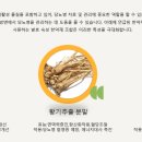 한방의과학연구소