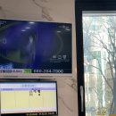 시지연합소아과