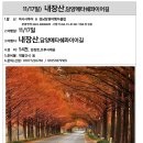 11/17일) 내장산-담양메타쉐콰이어길 이미지