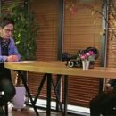 조은차 이미지