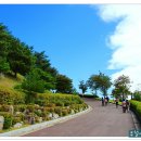 이효석길 이미지