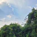 대리만족힐리지 이미지