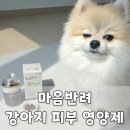 강아지 마음 | 마로를 위해 엄선한 마음반려 강아지 피부 영양제 후기