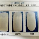 빽쌤뷰티교육연구소 이미지