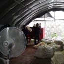 다온농장2 이미지