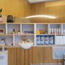 애니멀즈 강아지분양 고양이분양 천안점 이미지