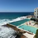 시드니힐 | 나 혼자 본다이비치 코스탈 워크 / 시드니 시내 구경 (옵저버토리 힐, 시드니 대학교, QVB) / yha하버 후기