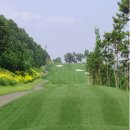 청룡골프 이미지