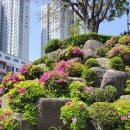 창조주의 이미지