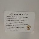 위플독 | 강화도 애견동반 펜션 : 위플독