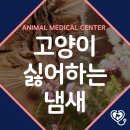 목감동물병원 이미지