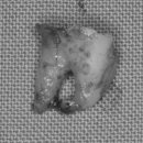 뿌리샘치과의원 이미지