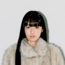 데일리 피쉬 이미지