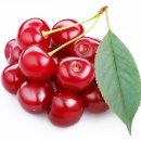 별이&체리 이미지