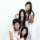 핑클 카카오 검색결과