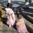 ㈜엔터식스패션쇼핑몰안양점 | 안양 아동복 안양 유아복 조카 유아복선물도 오라비 안양점