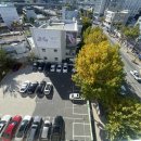 제주중앙 여자중학교 (농협지역본부방면) | 칠성동헬스 애티튜드짐, 운동만 하는 곳이 아니라 자존감을 올려주는 공간